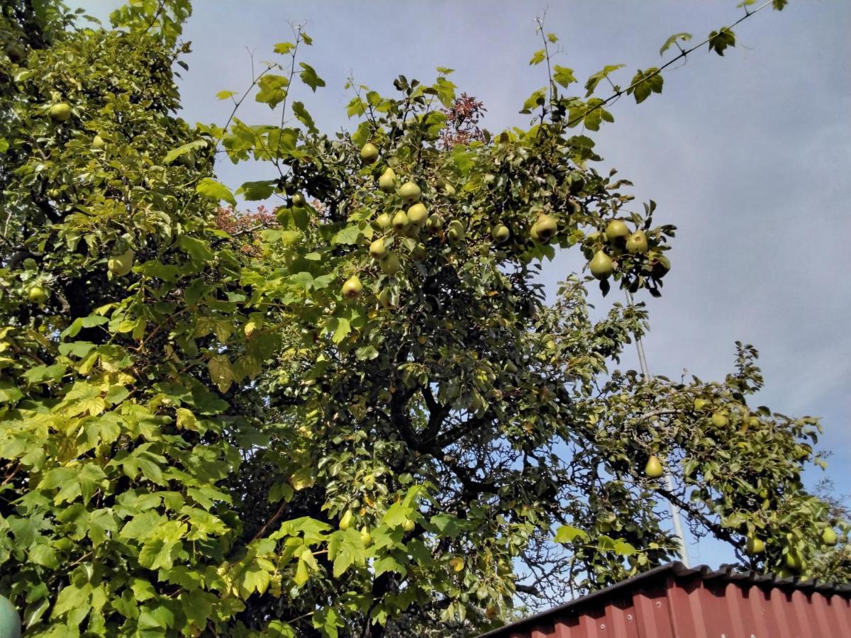 Bo I Trelleborg Διαμέρισμα Εξωτερικό φωτογραφία